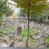 Josevof, Jewish Cemetery